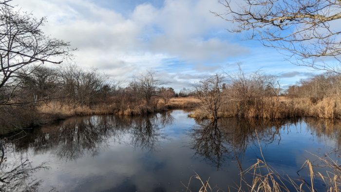 Reifel pond