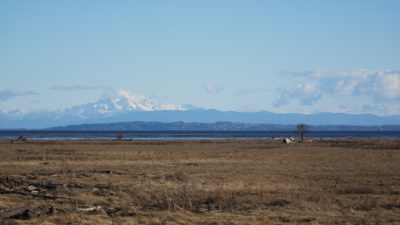 Boundary Bay