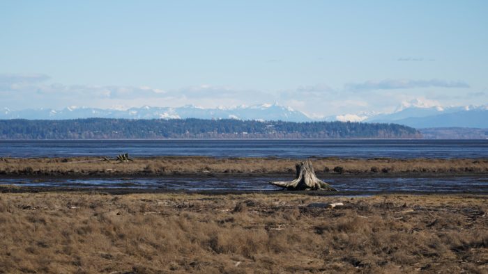 Boundary Bay