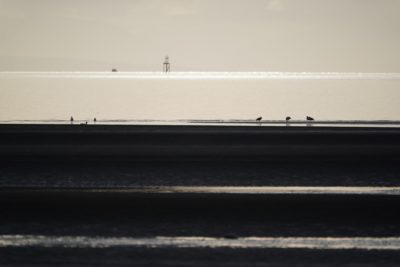 Low Tide and golden light