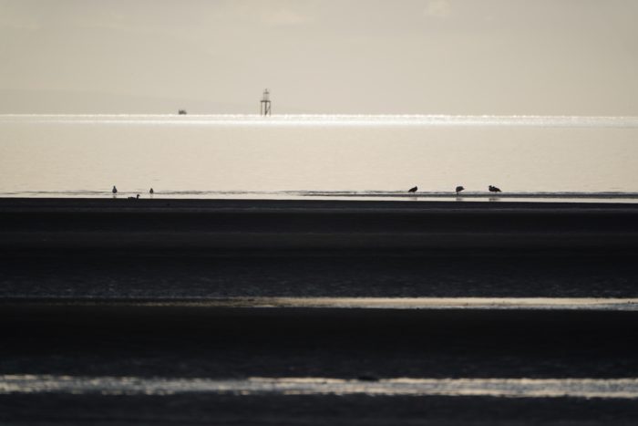 Low Tide and golden light