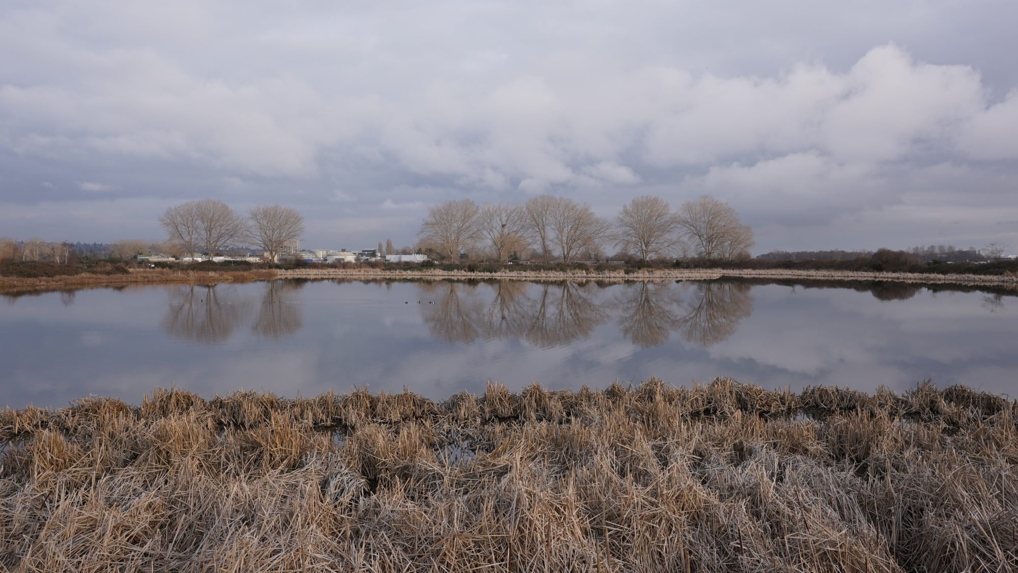 Iona Pond