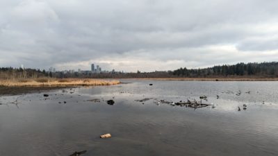 View from Piper Spit