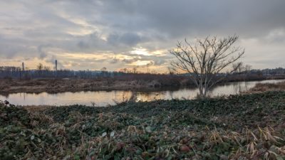 Coquitlam River sunset