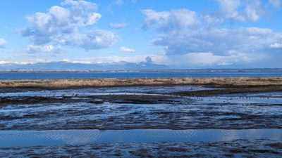 Boundary Bay