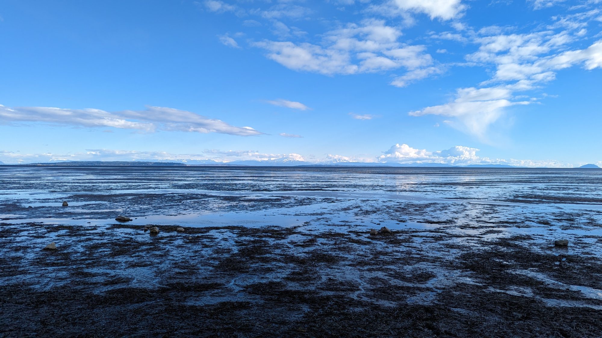 Boundary Bay