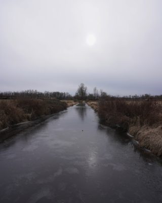 Frozen creek under grey sky