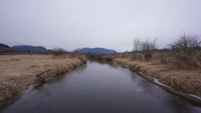 Frozen creek under grey sky