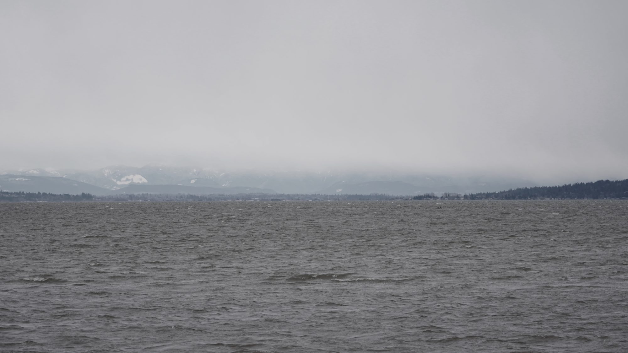 View from Centennial Beach