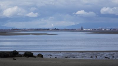 View from Crescent Beach