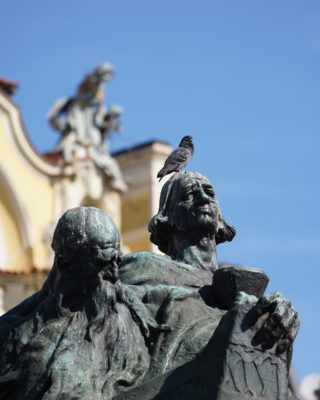 A pigeon on the Jan Hus monument