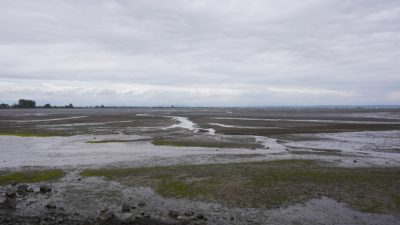 Grey sandy beach under grey skies