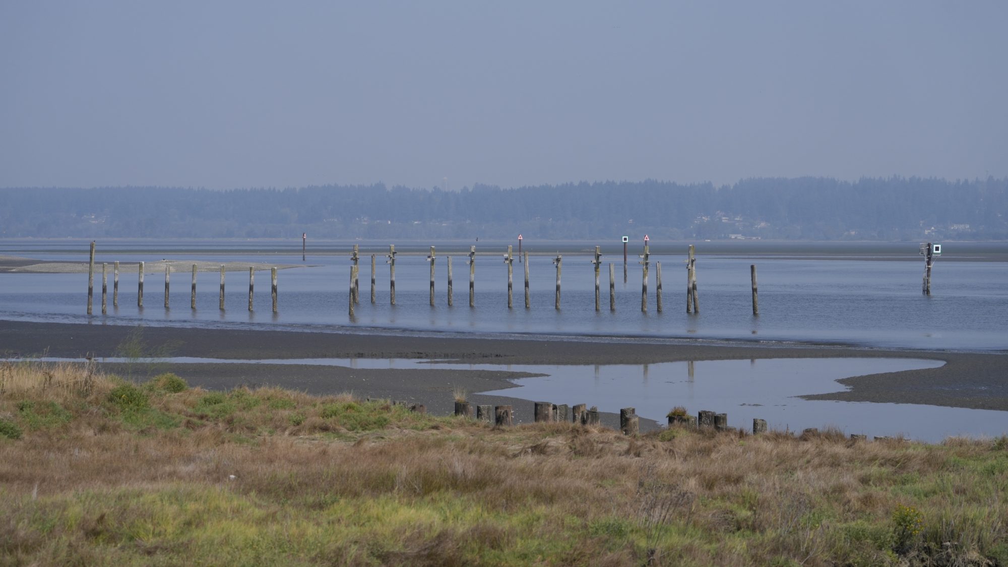 A row of pilings next to a pebbly beach. The air is a bit hazy and the sky a bit bluish-grey from the smoke