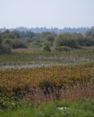 Different colours and looks of the landscape, looking like horizontal layers, under a dusty blue sky