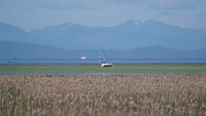 A beached sailboat far out on the marshes