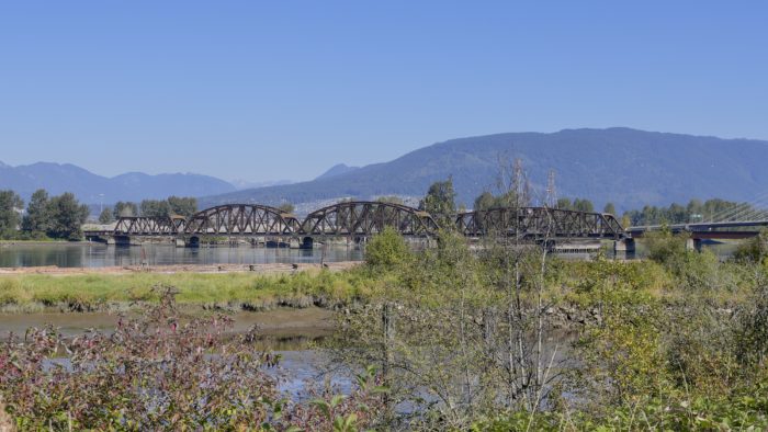 The Pitt River rail bridge seen from some distance away on the trail. It is partly obscured by bushes. The river underneath can just about be seen. There are mountains and a blue sky.