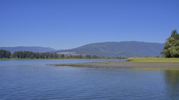 Meeting of Pitt River and Alouette River