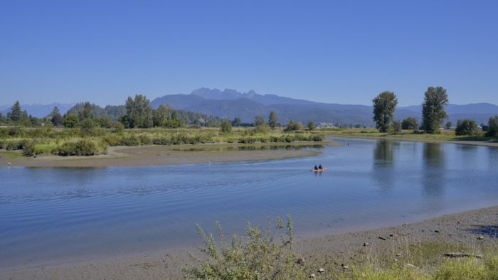 A shallower stretch of the Alouette River. The water is shallow and calm, and there is a kayak