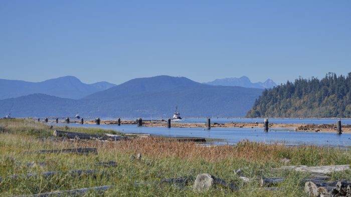 A view of the Fraser River (with mountains in the background) from Iona Beach Park