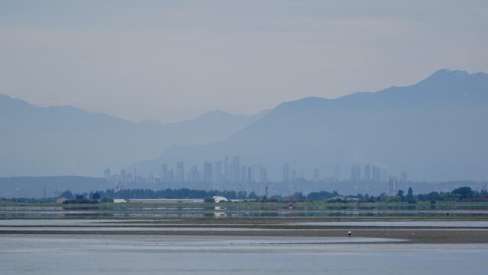 The towers of Surrey (I think) across the water, framed by hazy mountains