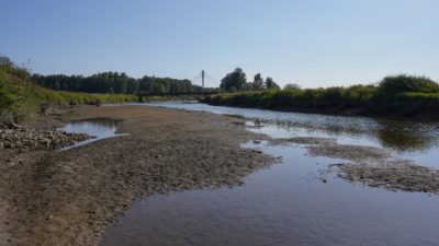 Close up of Coquitlam River, which is mostly dry