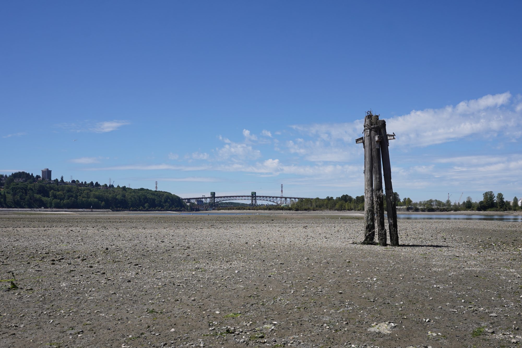 A view of Second Narrows Bridge in the distance, and a Purple Martin condo tower in the foreground. From this perspective it looks like the ground is totally dry