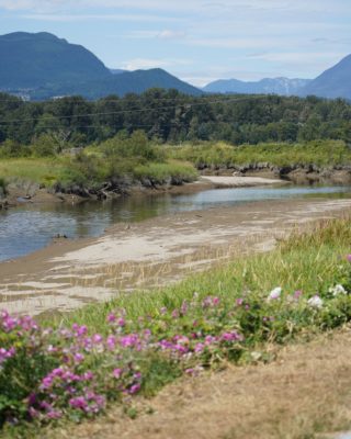 Coquitlam River in ƛ̓éxətəm Park, partly dried out