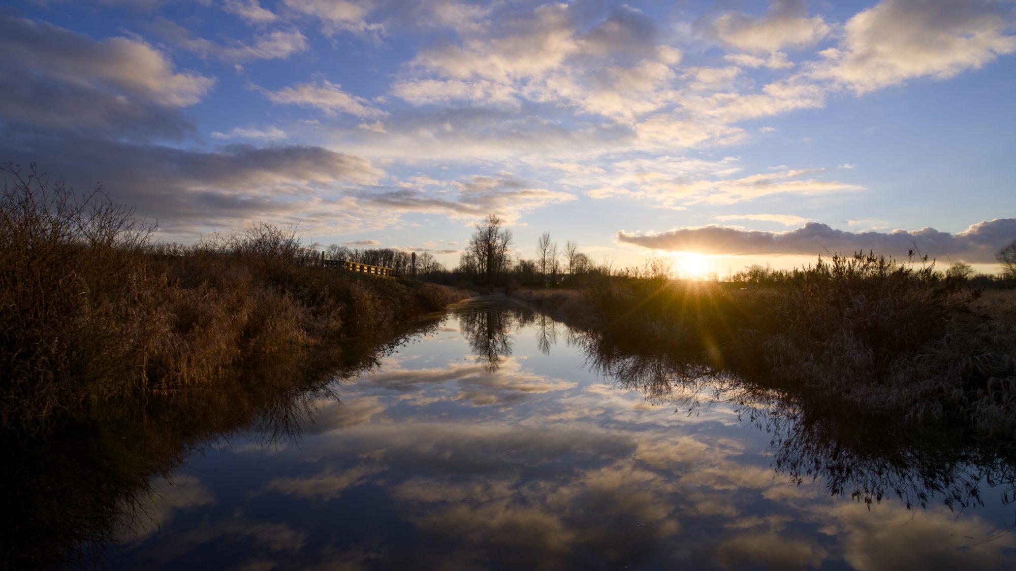 A sunset view along a small creek. The actual sun is just barely visible above the horizon, and the sky is a rich deep blue with a smattering of clouds