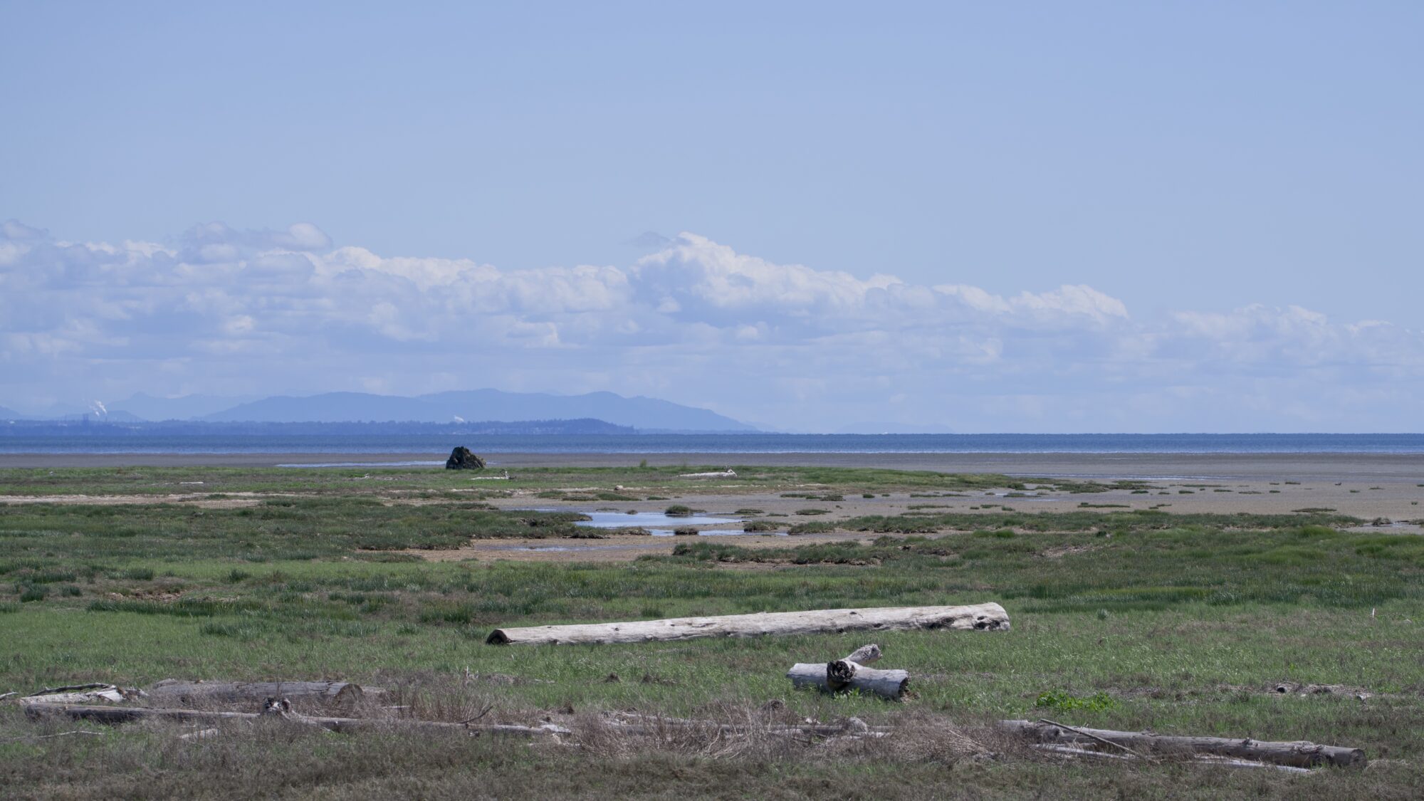 View from the Boundary Bay trail. Grassy, marshy land, and water way in the background. There are some low clouds in the sky