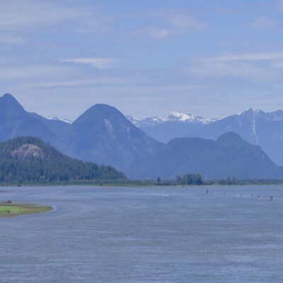 Looking up Pitt River. A wide flat stretch of water surrounded by greenery and hazy blue mountains