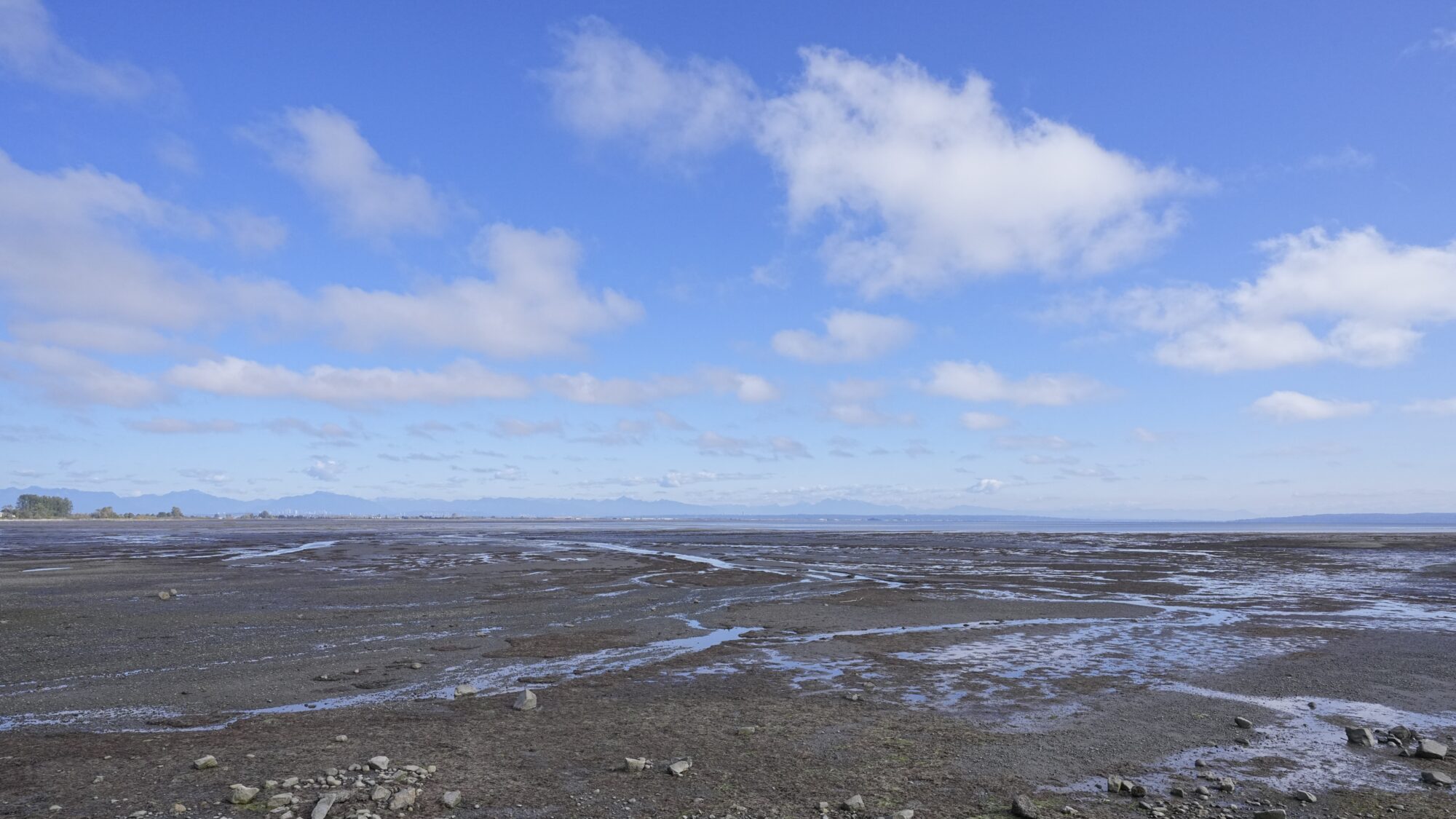 Low tide at Centennial Beach. There are a few small creeks in the sand, and a few choppy clouds in the sky