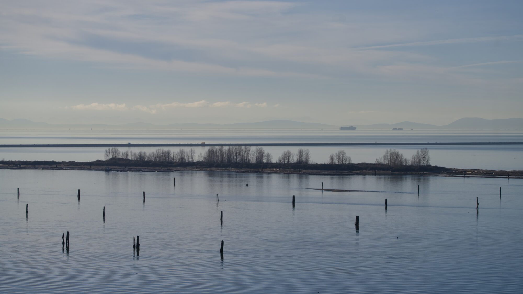 View of the Iona Beach north jetty from SW Marine, plus a bunch of pilings closer up