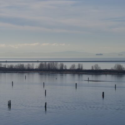 View of the Iona Beach north jetty from SW Marine, plus a bunch of pilings closer up.