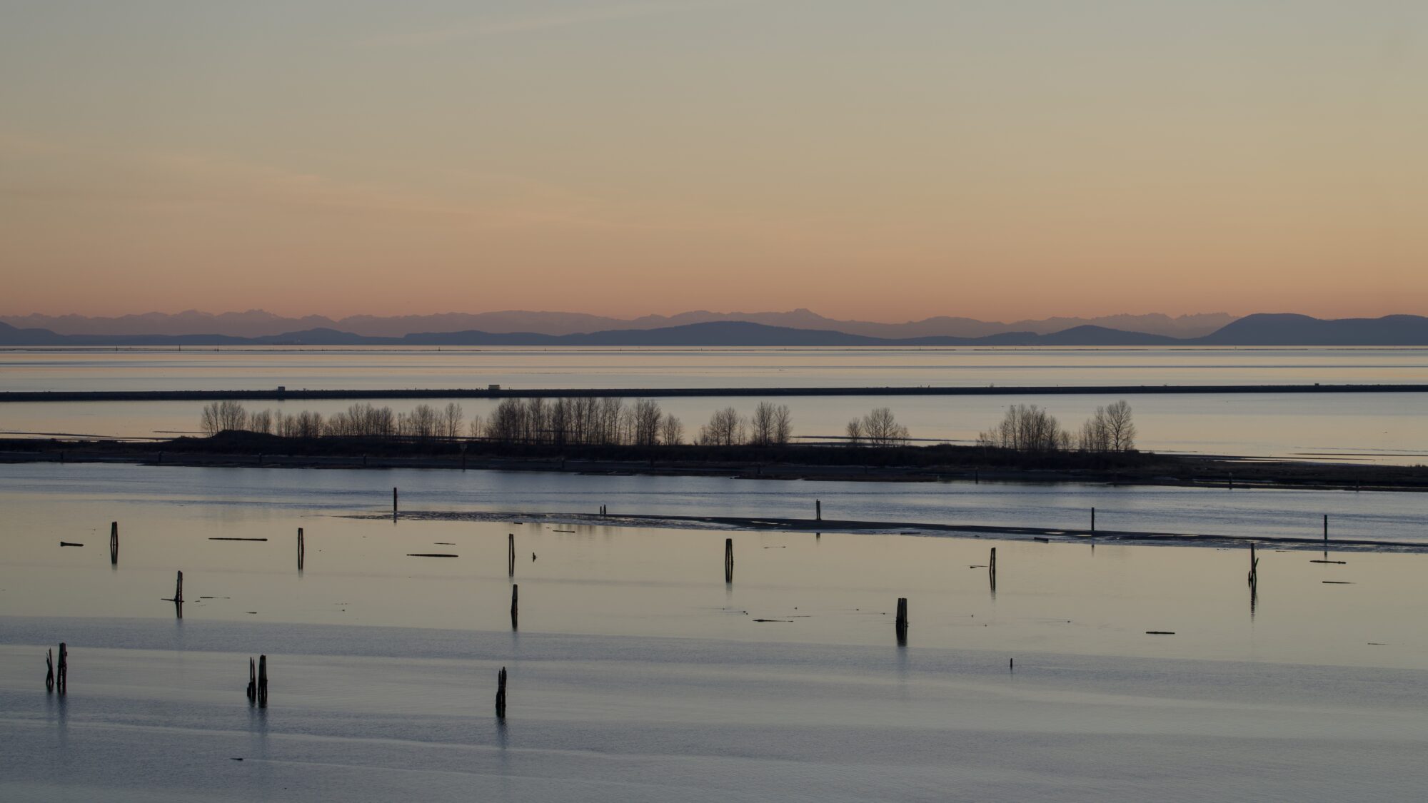 View of the Iona Beach north jetty from SW Marine, plus a bunch of pilings closer up. It is the end of the day